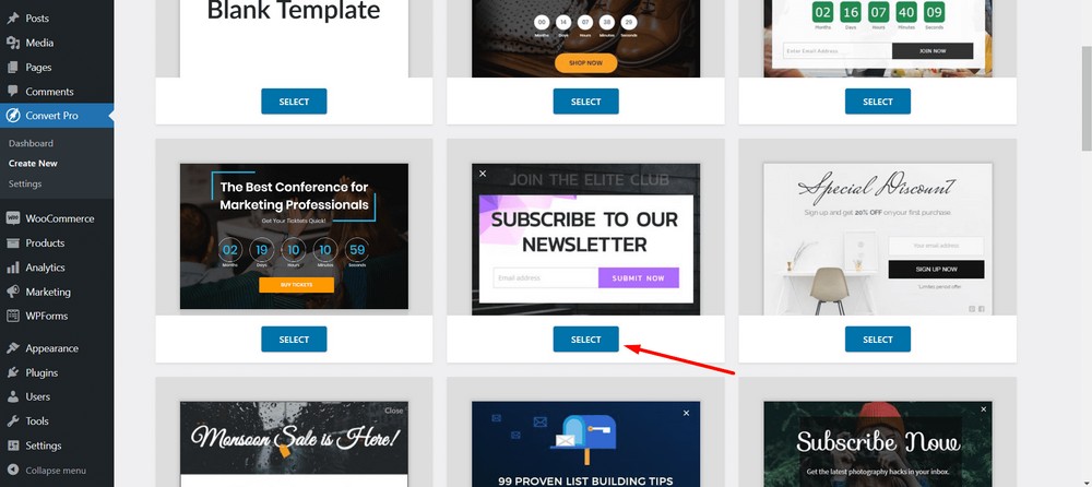 modal popup with Convert Pro - SUBSCRIBE TO OUR NEWSLETTER