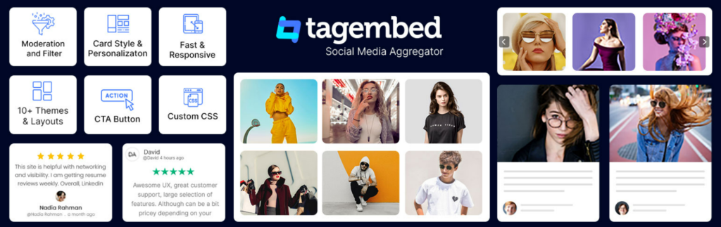 Tagembed (All Social Media & Review Feed on Website)